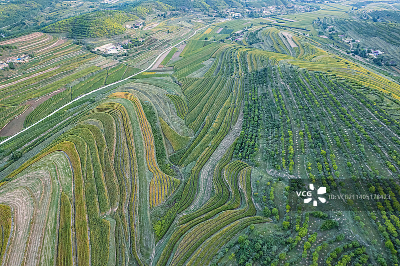 宁夏南部六盘山区旱作梯田彭阳金鸡坪梯田图片素材
