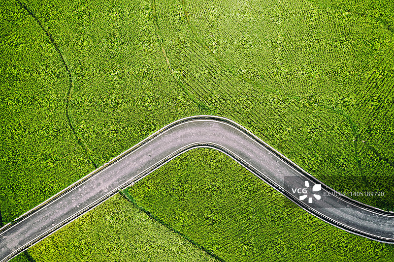 贵州农村夏天稻田风光图片素材