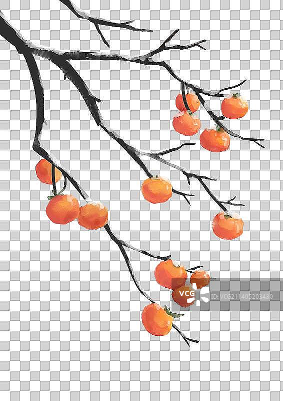 秋季手绘水彩柿子树图片素材