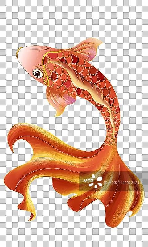 大鲤鱼图片素材