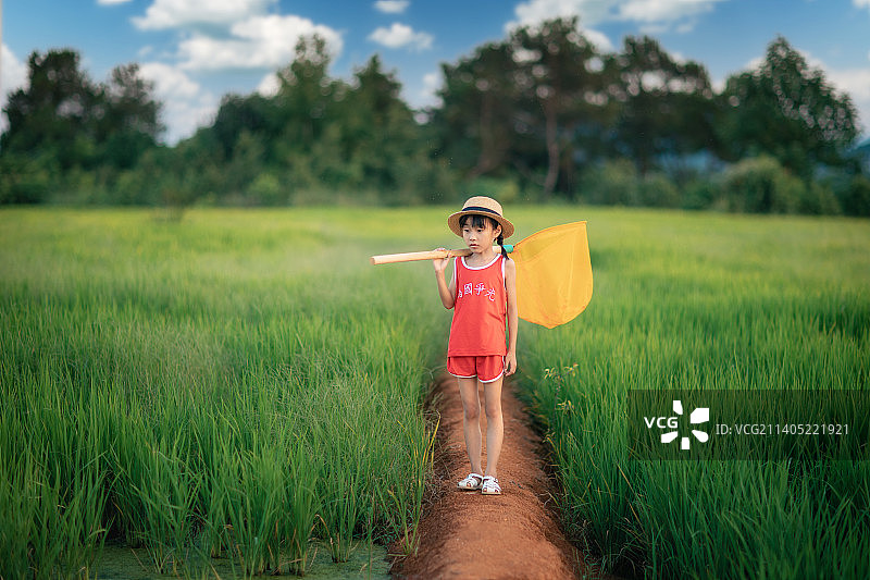 稻田中头戴草帽捕虫的小女孩图片素材