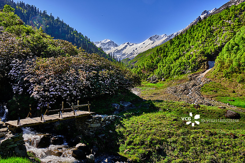 印度北阿坎德邦桑卡里山脉的树木河流风光图片素材