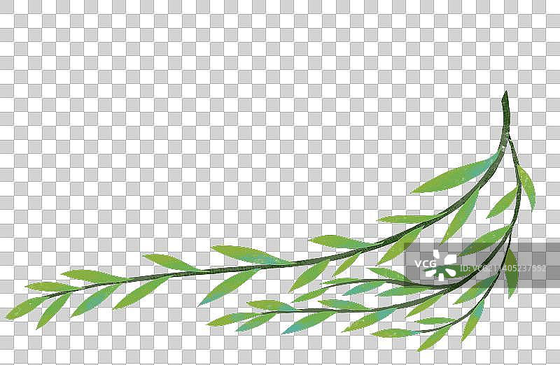 夏天的物件图片素材