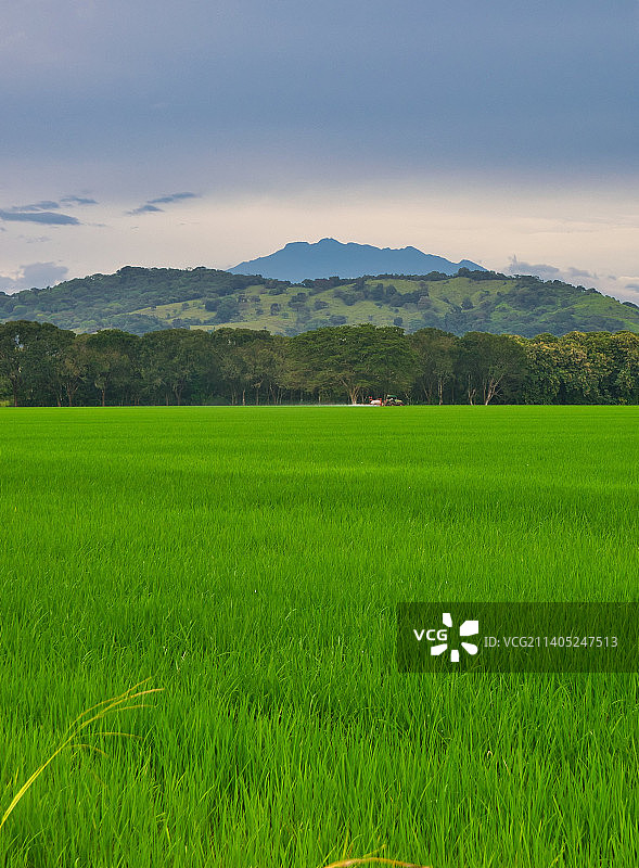 天空映衬下的农田风景图片素材