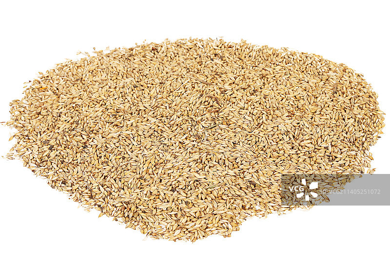 白色背景下的生米特写图片素材