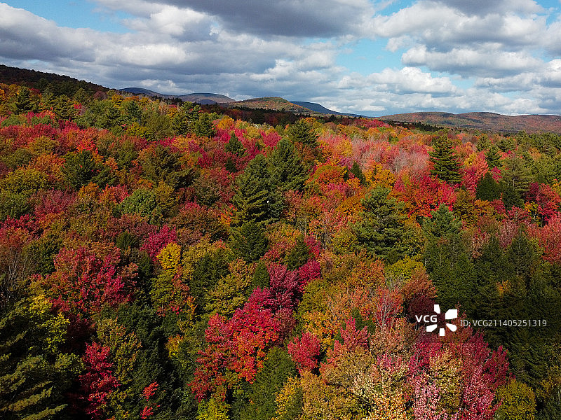 美国卡茨基尔山秋季森林风光图片素材