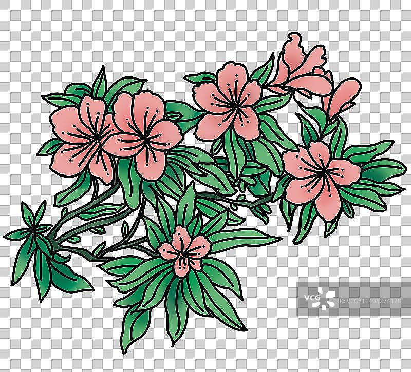 夹竹桃花带线稿免抠素材插画图片素材