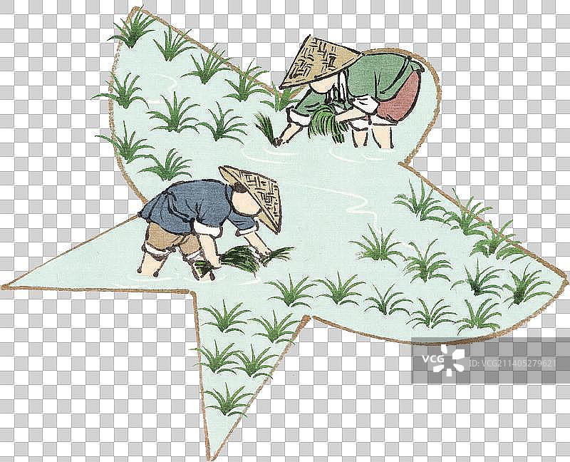 春分时节插秧的农民图片素材