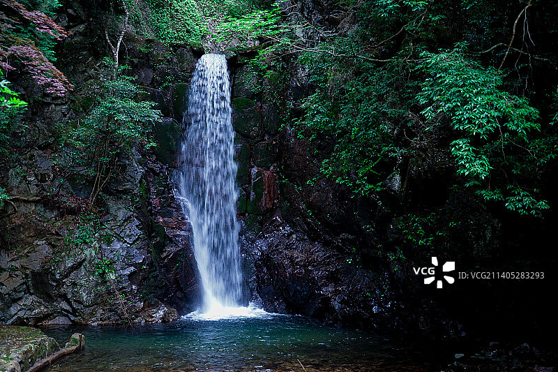 森林中瀑布的风景图片素材