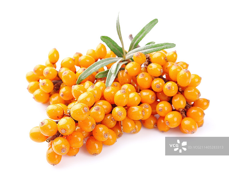 白色背景下的水果特写图片素材