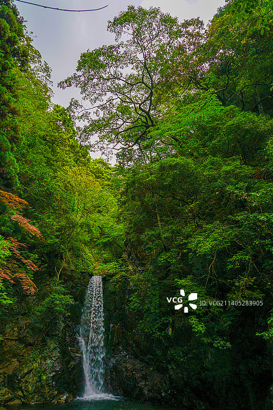 森林中瀑布的风景图片素材