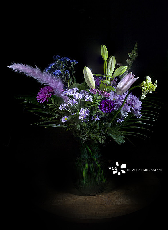 黑色背景下花瓶中的花朵特写，比利时埃克塞尔图片素材