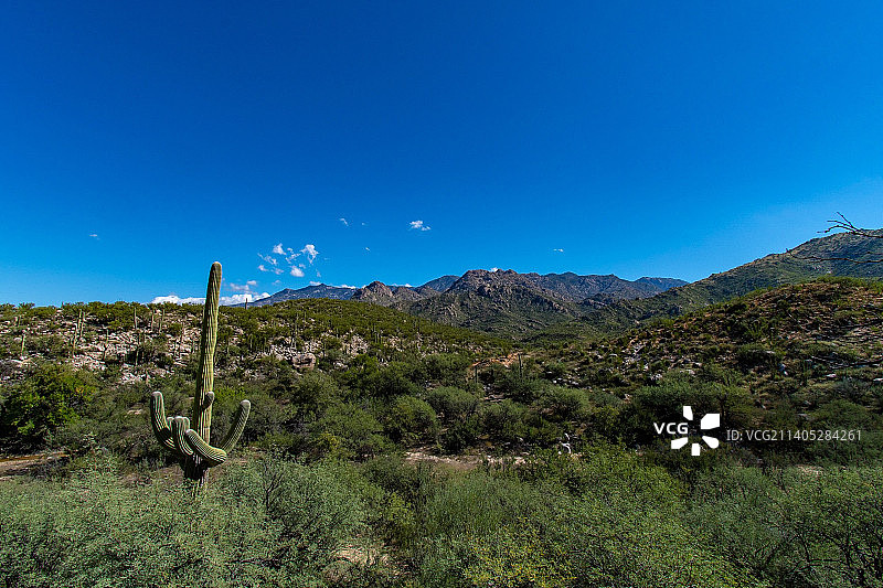 美国亚利桑那州图森市的壮丽景色图片素材