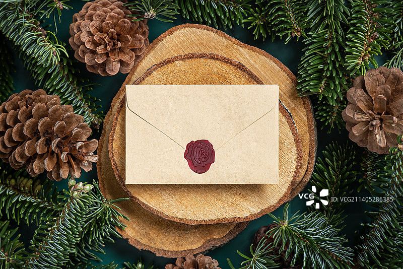 绿色顶视图中冷杉树枝和松果之间的圣诞空白密封信封图片素材