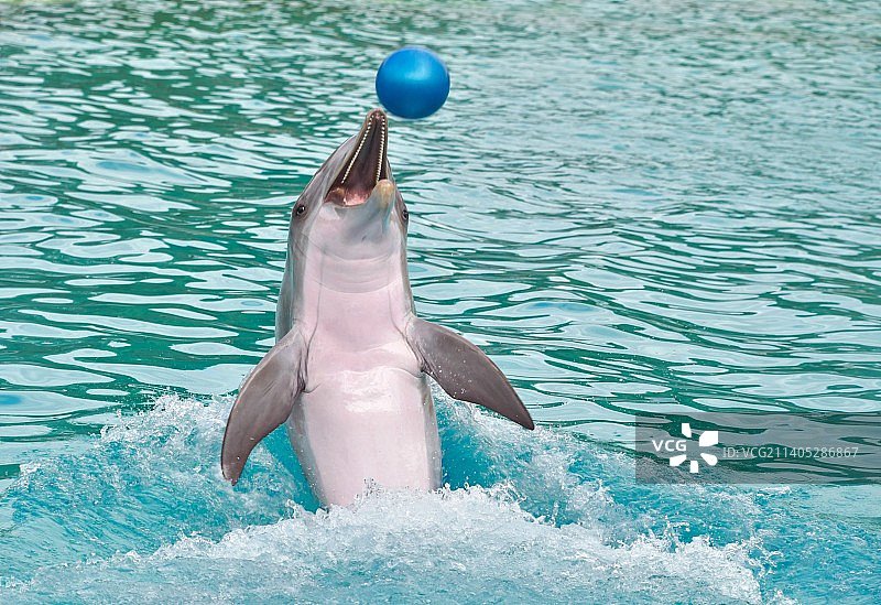 印度尼西亚海中漂浮的瓶子高角度视图图片素材