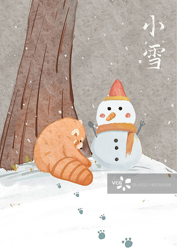 小熊猫与小学图片素材