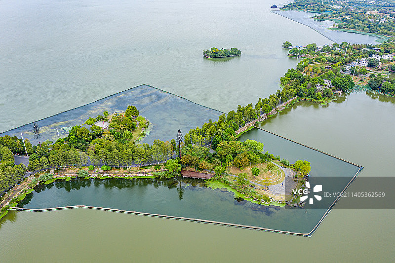 航拍武汉东湖绿道 湖北武汉东湖风景区 城市环湖林荫道 湖中道图片素材