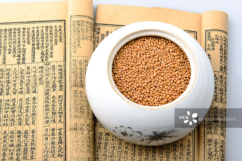 中药材狗脊图片素材