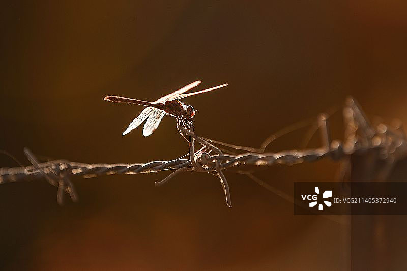 秋日印象图片素材