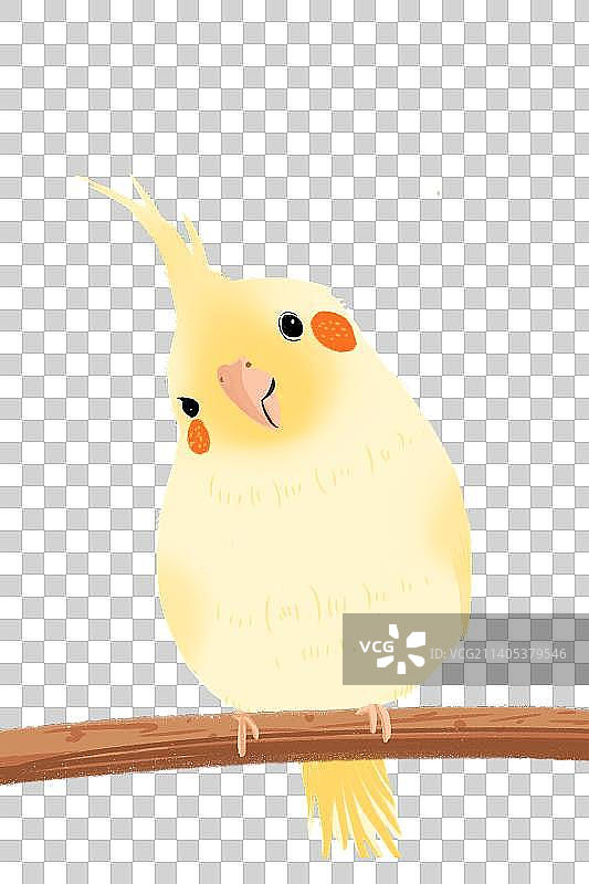 可爱动物鸟鹦鹉插画免抠PNG素材图片素材