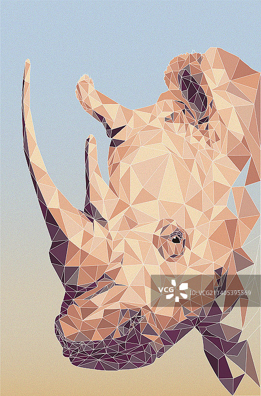 消散的犀牛 保护野生动物图片素材