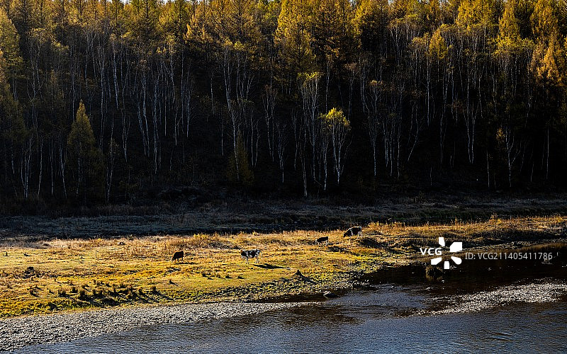 哈拉哈河图片素材