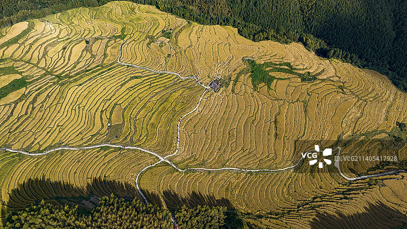 航拍连山欧家梯田山间梯田田地稻谷丰收图片素材