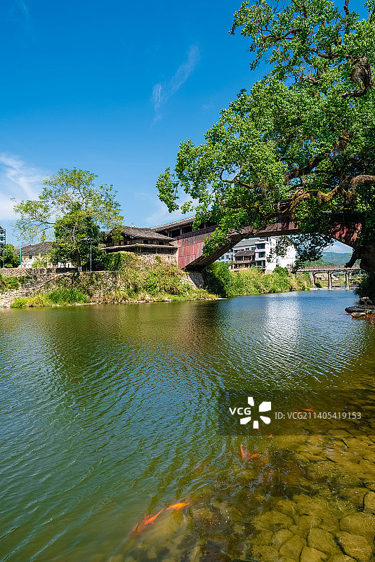 浙江泰顺县古廊桥，泗溪桥图片素材