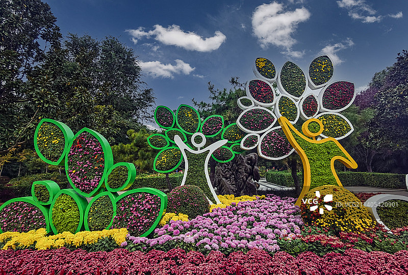 菊展图图片素材