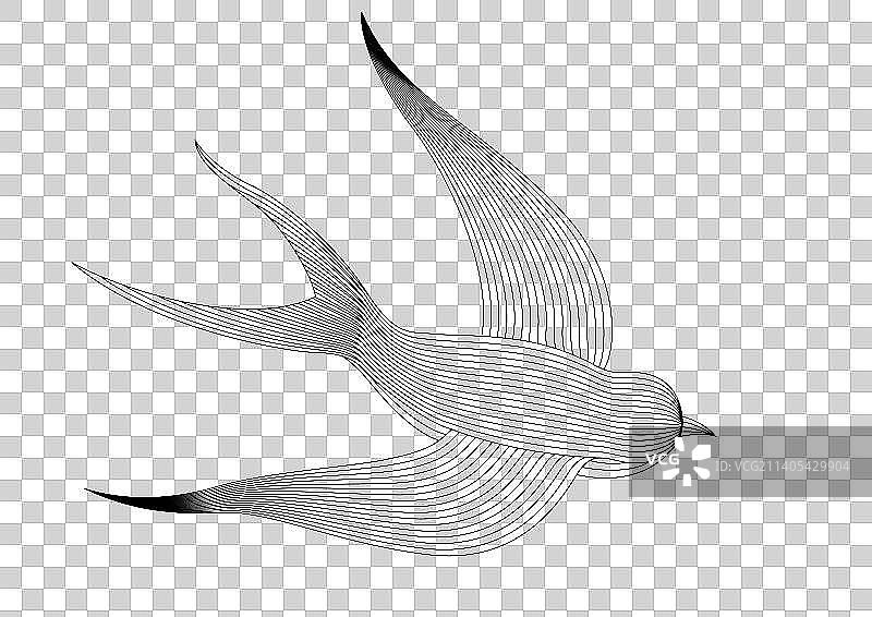 线条感燕子插画图片素材