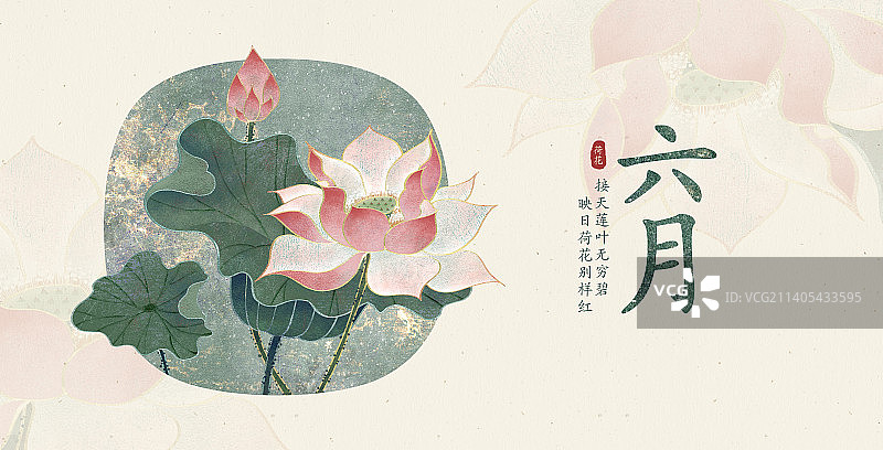 肌理岩彩风格植物系列六月荷花图片素材