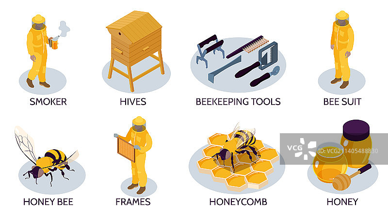 养蜂素材合集图片素材