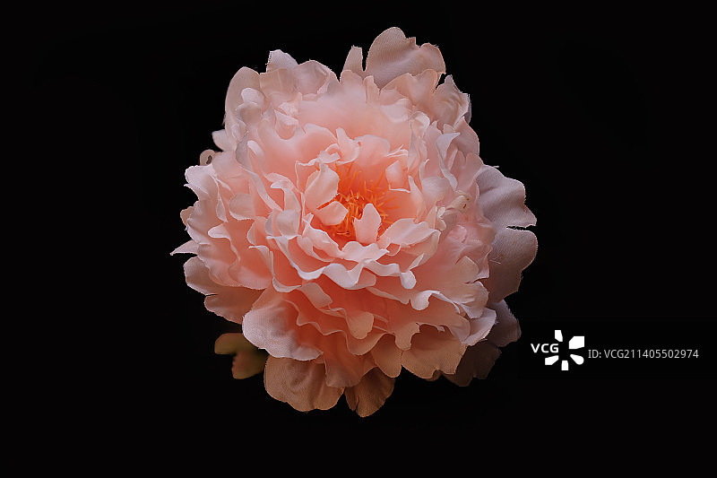 静物拍摄图片素材