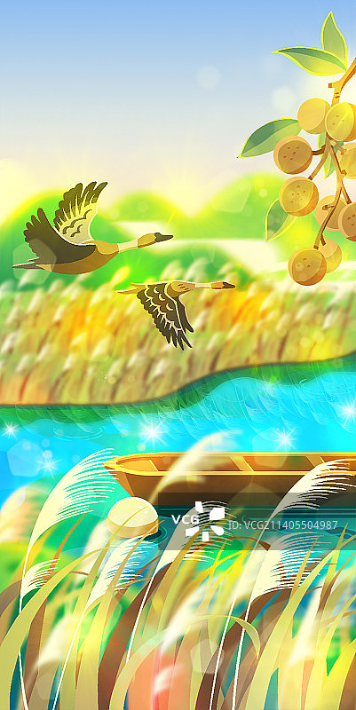 白露节气海报插画图片素材