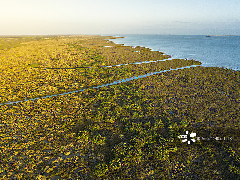 上海市崇明区横沙东滩湿地地貌图片素材