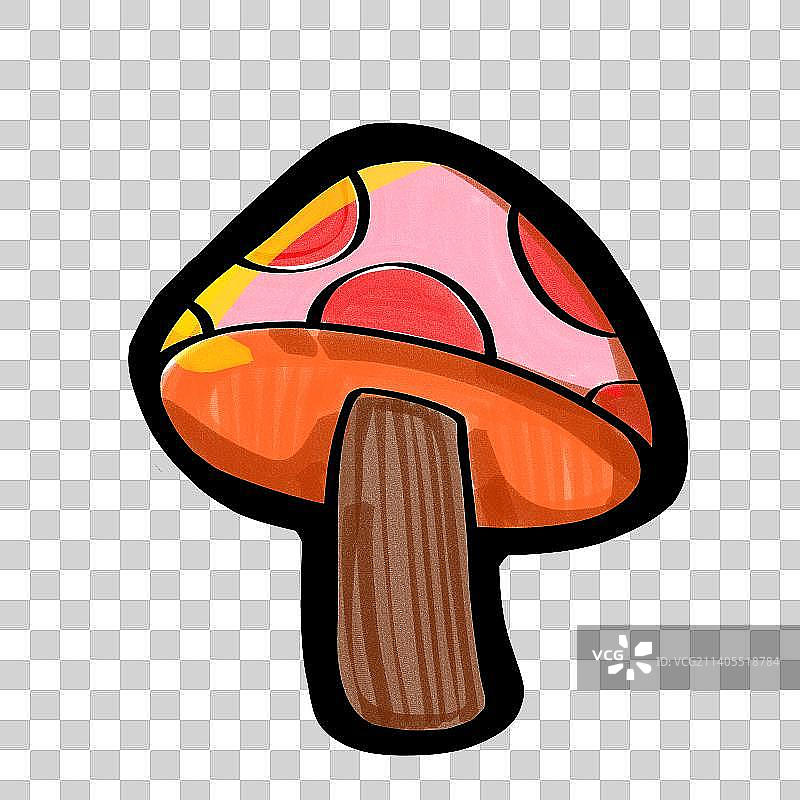 野外的小蘑菇 菌菇图片素材