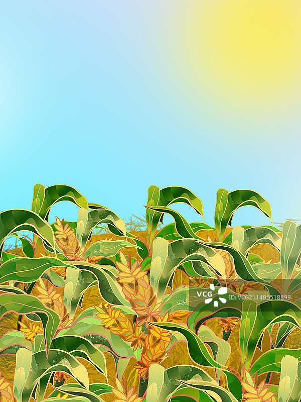 国风插画秋天季节收高粱成熟一片快乐丰收场景图片素材