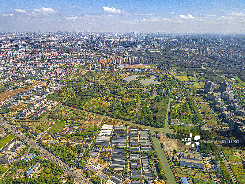 九科绿洲 上海市松江区 公园 休憩草坪 杉林湿地 树木花卉 文化旅游 九亭镇 社区公益图片素材