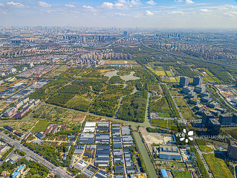 九科绿洲 上海市松江区 公园 休憩草坪 杉林湿地 树木花卉 文化旅游 九亭镇 社区公益图片素材