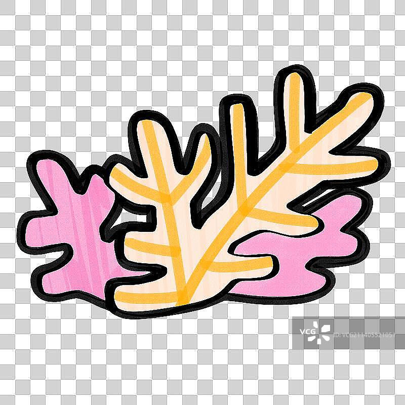 珊瑚 珊瑚礁  海底世界 海洋生物 水 深海图片素材