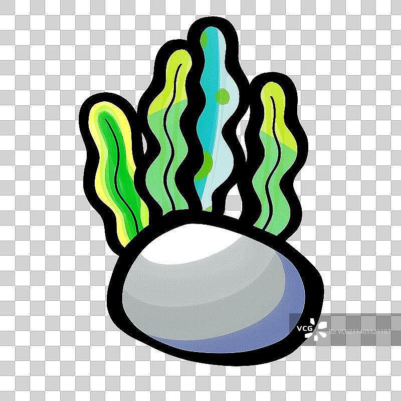 海草 海藻 石头 海底世界 海洋生物 水 深海图片素材