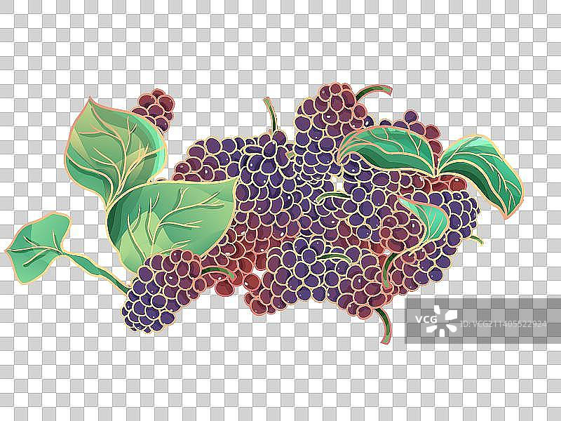 一堆桑葚桑椹国潮古风插画元素素材模板图片素材