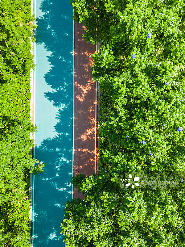 林间的健康步道图片素材