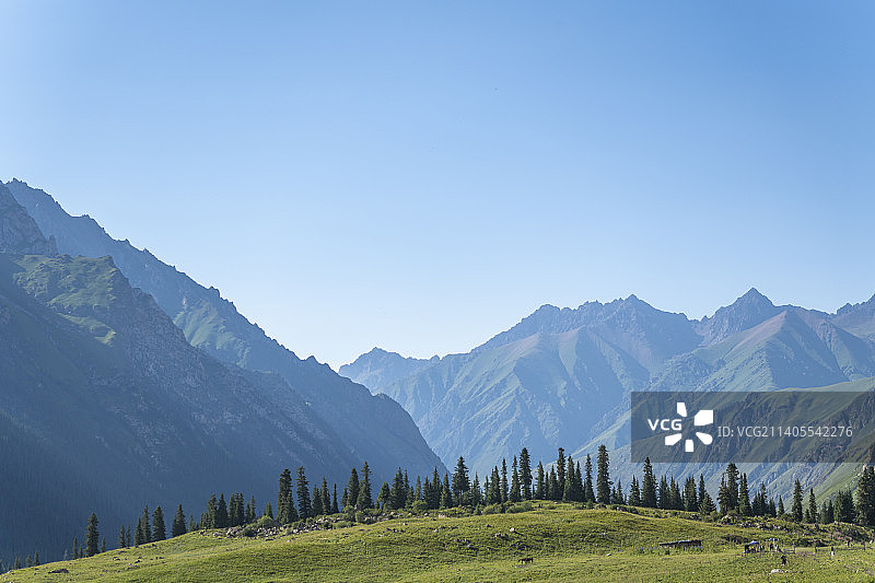 中国新疆伊犁夏塔景区雪山草原自然风光图片素材