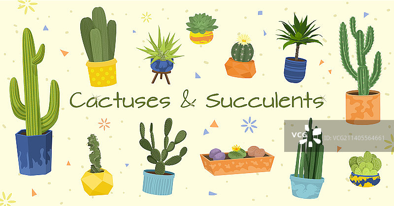 仙人掌扁平风格组合图片素材
