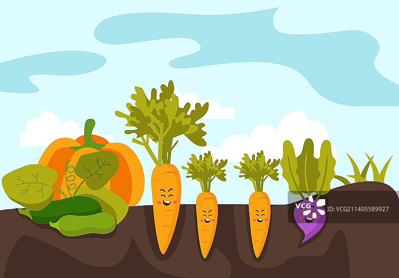 花园菜畦中的卡通蔬菜图片素材