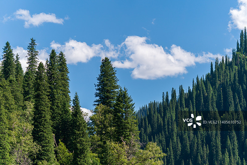 新疆唐布拉草原白昼风光图片素材