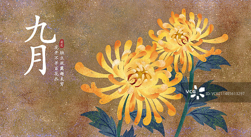 九月重阳节祭祖岩彩手绘节日菊花图片素材