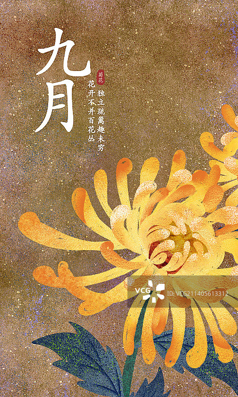 九月重阳节祭祖岩彩手绘节日菊花图片素材