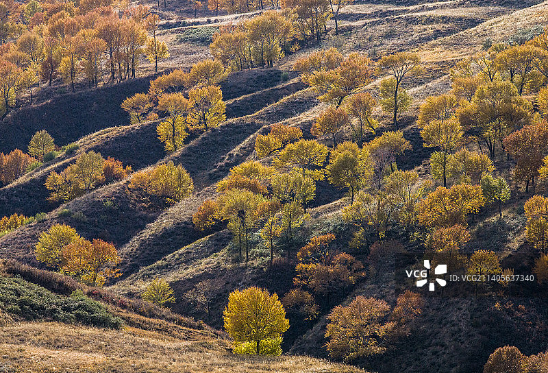 山西右玉古长城图片素材